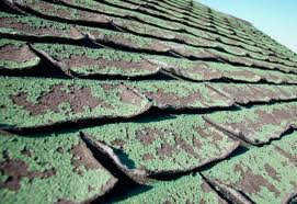 Algae On Roof