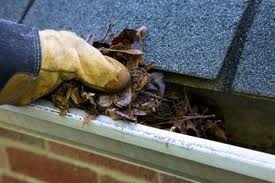 Rain Gutter Cleaning